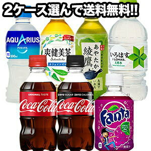 [] RJR[ PETm280mlA300mln×48{[24{×2]Zbg ImܖF2ȏny3`4cƓȓɏoׁz ǂ ANGAX  RJR[ t@^ ͂