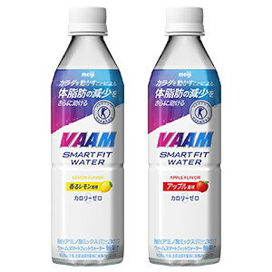  VAAM[o[ @[ vaam] @[X}[gtBbgEH[^[ 500mlPET×48{[24{×2P[X] IkCEE͑ΏۊOy2`3cƓȓɏoׁzyzX|h