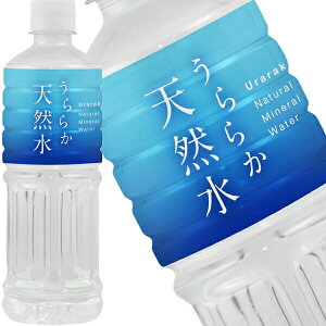 [] _ˋn 炩VR 550mlPET×24{y1121o׊Jnz  ~lEH[^[ VR