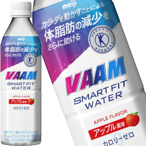 []  @[ X}[gtBbgEH[^[ Abv 500mlPET×48{[24{×2]y3`4cƓȓɏoׁz VAAM X|[chN X|h o[