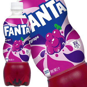 []RJR[ t@^O[v 500mlPET×48{m24{×2nkCAA͑ΏۊOy2`3cƓȓɏoׁz