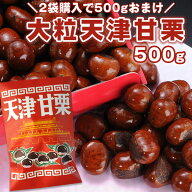 ［2袋購入で1袋オマケ］新栗大粒天津甘栗×約500g［賞味期限：製造より7日］【送料無料】天津甘栗 甘栗 …