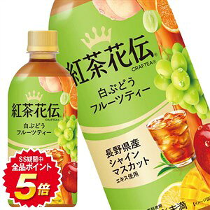 ySiGg[|Cg5{zy10OFFN[|zyGg[|Cg10{z[] RJR[ gԓ` NteB[ Ԃǂt[ceB[ 440mlPET×24{y3`4cƓȓɏoׁz