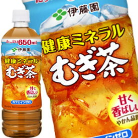 [送料無料] 伊藤園 健康ミネラルむぎ茶 650mlPET×48本[24本×2箱]【3～4営業日以内に出荷】 麦茶 お茶