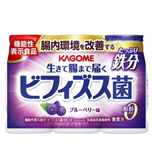 鉄 カゴ 乳酸菌飲料の人気商品 通販 価格比較 価格 Com