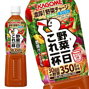 [] JS ؈t 720mlPET×30{[15{×2]y3`4cƓȓɏoׁz ؃W[X ؐ