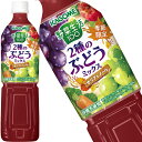 [送料無料] カゴメ 野菜生活100 2種のぶどうミックス 720mlPET×15本【3〜4営業日以内に出荷】 野菜ジュース 季節限定商品