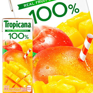 []L gsJ[i 100 }S[uh 250mlpbN×72{m24{×3nmܖF2ȏnkCAA͑ΏۊOłBy3`4cƓȓɏoׁz