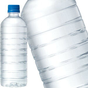 [] L RVR xX 600mlPET×24{y3`4cƓȓɏoׁz