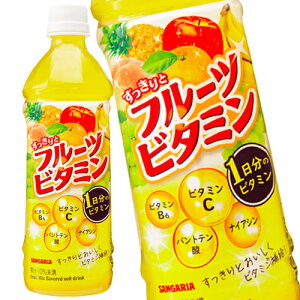 [] TKA ƃt[cr^~ 500mlPET×48{[24{×2]y5`8cƓȓɏoׁz