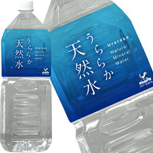 []_ˋn 炩VR 2LPET×12{m6{×2ny117o׊Jnz  ybg{g VR ~lEH[^[ ~