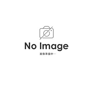 �y���Ẵh�[��!�ƑS�i���g�N�ՁzOGK KABUTO GEOSYS-R �J�[�{�� XS�`XL �w�����b�g ���ʌ��� �I�t���[�h�w�����b�g �W�I�V�X�A�[�� �I�[�W�[�P�[�J�u�g