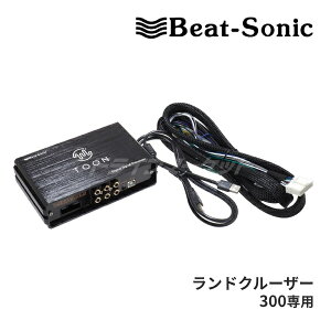yH̃h[!ƑSigNՁzDSP-T321 r[g\jbN DSP@\tAv TOON X hN[U[300p fBXvCI[fBIt(9C`) 6Xs[J[ I[fBIǉLbg Beat-Sonic