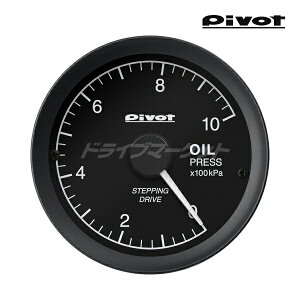 y撅ő2000~OFFzLSP s{bg LINK GAUGE-X v 60 ZT[^Cv N ^[^[ (쓮ɂOBDjbg LOU (ʔ)Kvł) NQ[W PIVOT