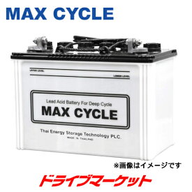 【初夏のド-ン!と全品超得祭】(旧日立化成) EB100-LR MAX CYCLE EBサイクル バッテリー (LR端子) マックスサイクル
