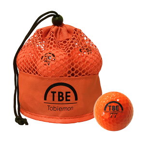 q St{[ 1_[X R&AF 2s[X{[ TOBIEMON \tgACIm}[Jo[ fBX^X^Cv bVobO  [TBM-2MB]