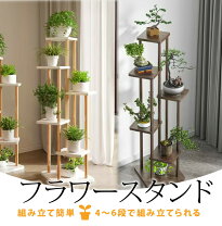 楽天市場】観葉植物 置き台の通販