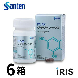 サンテグラジェノックス 6」の人気商品一覧・価格比較 - 価格.com