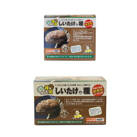 【安心のメーカー直販】 しいたけ種駒 もりの金太郎 しいたけの種【400個】| シイタケ種駒 椎茸種駒 しいたけ菌 椎茸菌 しいたけ栽培 シイタケ栽培 椎茸栽培 原木しいたけ 原木椎茸 原木シイタケ 種菌 キノコ 椎茸 種駒 椎茸菌駒