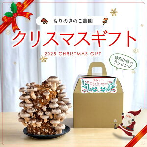 ̂̂_ -NX}XMtgo[W-| ͔|Lbg ͔̂| LmR͔| ͔|Lbg ͔|Zbg NX}Xv[g Xmas Y  Ԍ ̂ ͔| LmR 