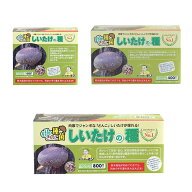 【安心のメーカー直販】しいたけ種駒 にく丸 森290号 しいたけの種 | シイタケ種駒 椎茸種駒 しいたけ菌 …