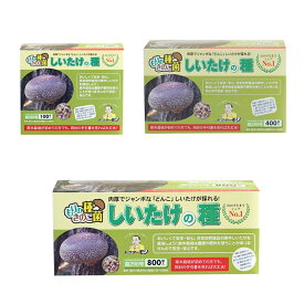 【安心のメーカー直販】しいたけ種駒 にく丸 森290号 しいたけの種 | シイタケ種駒 椎茸種駒 しいたけ菌 椎茸菌 しいたけ栽培 シイタケ栽培 椎茸栽培 原木しいたけ 原木椎茸 原木シイタケ きのこ 種菌 きのこ栽培 どんこ 家庭菜園 種駒