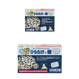 【安心のメーカー直販】ひらたけ種駒 ひらたけの種 【400個】 | ヒラタケ種駒 ヒラタケ菌 ひらたけ菌 ヒラタケ栽培 ひらたけ栽培 原木栽培 きのこ 種菌 キノコ 種駒 栽培 きのこ栽培 家庭菜園 ひらたけ キノコの種駒 原木きのこ ヒラタケ