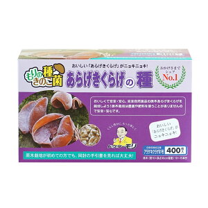 yS̃[J[́z 炰炰 炰炰̎ | 炰炰 AQLNQ 炰͔| LNQ͔| ؎͔| ؍͔| ̂  LmR ƒ؉ 