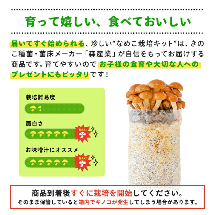 楽天市場 今季販売終了 ブロックのみ 付属品 説明書なし なめこ栽培キット もりのなめこ農園おかわり君 なめこ ナメコ 家庭菜園 自由研究 観察 野菜 室内 きのこ栽培 キノコ栽培 菌床 送料無料 きのこリウム 森のきのこ倶楽部