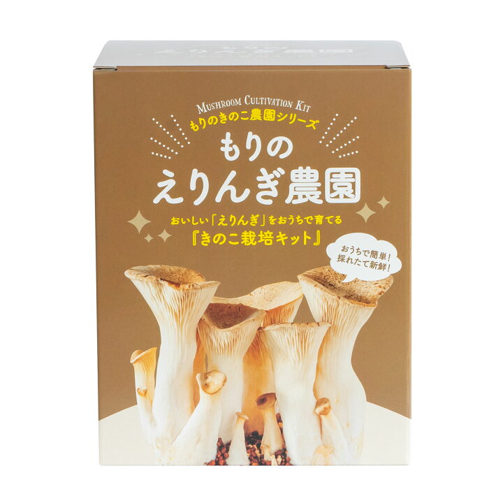 楽天市場】えりんぎ栽培キット もりのえりんぎ農園 | エリンギ 家庭 