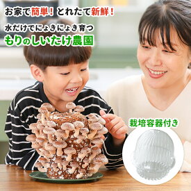 【栽培容器付】しいたけ栽培キット もりのしいたけ農園| 椎茸 しいたけ シイタケ 家庭菜園 初心者向け きのこ栽培 キノコ栽培 栽培キット 栽培セット 菌床 生しいたけ しいたけ栽培 椎茸栽培 シイタケ栽培 食育キット 食育 学習キット きのこ