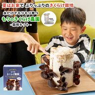 【エントリーP10倍】きくらげ栽培キット もりのきくらげ農園 ｜森産業 キクラゲ 木耳 家庭菜園 自由研究 …