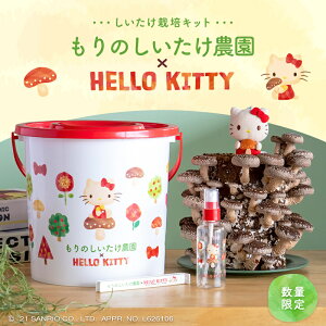 ̂_×HELLO KITTY| n[LeB LeB TI ̂ ͔̂| LmR͔| ͔|Lbg  ő VC^P ʌ  ͔|Lbg ƒ؉LmR 