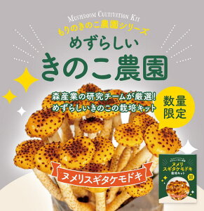 ߂炵̂_ kXM^PhLbkXM^PhL͔|Lbgb ͔|Lbg ώ@  ͔̂| LmR͔| ͔|Lbg ͔|Zbg ۏ Y ̂ LmR ͔| Lb