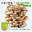 しいたけ栽培キット もりのしいたけ農園｜クール便｜椎茸 きのこ栽培 栽培セット 栽培キット 食育 食育キット 収穫体…