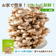しいたけ栽培キット もりのしいたけ農園｜クール便｜椎茸 きのこ栽培 栽培セット 栽培キット 食育 食育キ…