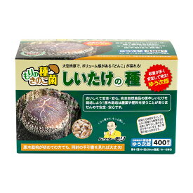【安心のメーカー直販】しいたけ種駒 ゆう次郎 しいたけの種【400個】| シイタケ種駒 椎茸種駒 しいたけ菌 椎茸菌 しいたけ栽培 シイタケ栽培 椎茸栽培 送料無料 原木しいたけ 原木椎茸 きのこ 種菌 種駒 原木シイタケ 原木 椎茸菌駒