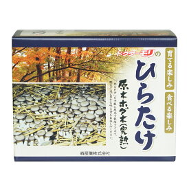 【ほだ木】原木ヒラタケ栽培キット ひらたけの成る木（短木） | ヒラタケ栽培 原木ヒラタケ 原木ひらたけ 原木シメジ 原木しめじ 家庭菜園 野菜 きのこ栽培 キノコ栽培 ホダ木 ほだ木 榾木 国産 キノコ ひらたけ ヒラタケ 栽培キット 原木栽培