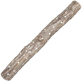 【ほだ木】しいたけ栽培キット しいたけの成る木 | シイタケ栽培 しいたけ栽培 椎茸栽培 原木シイタケ 原木椎茸 家庭菜園 野菜 きのこ栽培 キノコ栽培 ホダ木 ほだ木 榾木 国産 シイタケ 椎茸 栽培キット 原木 原木しいたけ 販売 椎茸栽培キット