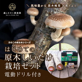 【電動ドリル付き】はじめての原木しいたけ栽培セット | 原木栽培 家庭菜園 きのこ栽培 キノコ栽培 椎茸種駒 しいたけ菌 椎茸菌 しいたけ栽培 椎茸栽培 原木しいたけ 原木椎茸 金太郎 きのこ 種菌 国産 送料無料 しいたけ 椎茸 シイタケ 栽培セット 菌ドリル 菌打ち 原木