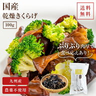 【エントリーP10倍】国産きくらげ 九州産乾燥キクラゲ【100g】送料無料｜木耳 乾燥きくらげ 干しきくらげ…