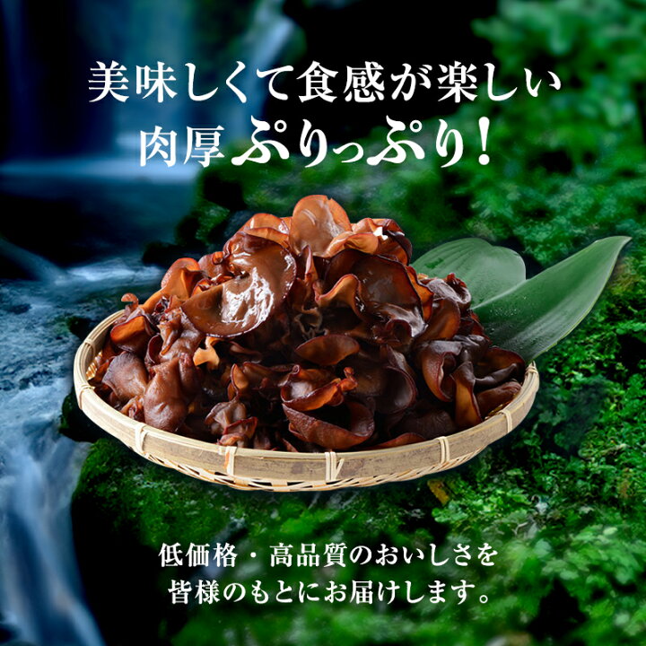 楽天市場】国産きくらげ 九州産乾燥キクラゲ【500g】 | 送料無料 木耳  