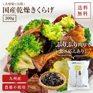 【エントリーP10倍】国産きくらげ 九州産乾燥キクラゲ【300g】送料無料｜木耳 乾燥きくらげ 干しきくらげ…