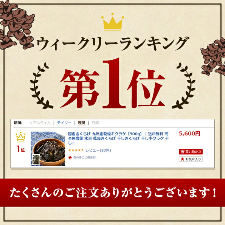 1500円 【おまけ付】 森のきのこ倶楽部 乾燥 国産 きくらげ 300g 業務用 大容量 北海道産 マルチ食材 簡単調理 1500円 【おまけ付】 森のきのこ倶楽部 乾燥 国産 きくらげ 300g 業務用 大容量 北海道産 マルチ食材 簡単調理