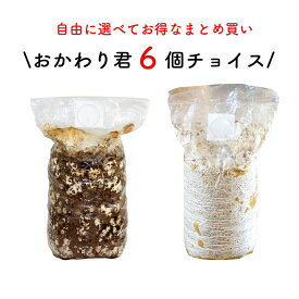 【ブロックのみ・付属品・説明書なし】【お好み6個 選べてお得】きのこ栽培キット おかわり君6個チョイス｜きのこ栽培 しいたけ きくらげ 家庭菜園 菌床 きのこ 栽培キット 栽培 6個セット 小学生 送料無料