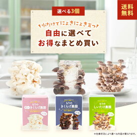 【お好み3個 選べてお得】きのこ栽培キット 農園3個チョイス（化粧箱付）｜キノコ栽培 きのこ栽培 しいたけ 椎茸 シイタケ きくらげ キクラゲ 木耳 きのこ栽培キット 家庭菜園 自由研究 野菜 菌床 食育 まとめ買い 送料無料