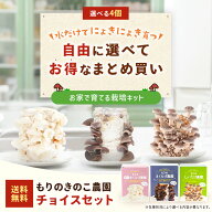 【SALE期間中エントリーでP10倍】【お好み4個 選べてお得】きのこ栽培キット 農園4個チョイス（化粧箱付…