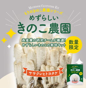 y271:59܂P10{z߂炵̂_ TTNqg^PbTTNqg^P͔|LbgbRv[k Rv[k͔|Lbg ώ@  ͔̂| LmR͔| ͔|Lbg ͔|Zb