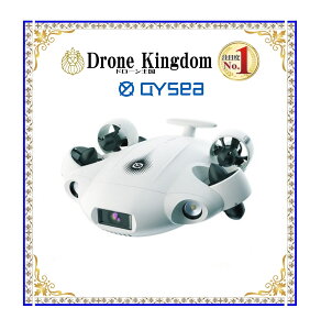 �y�݌Ɋm�F�v���i�zQYSEA FIFISH V-EVO �W���Z�b�g(100m�e�U�[�P�[�u���j�y�����ӔC�ی��t�z