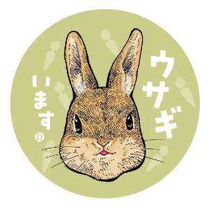 XIWiIhAXebJ[ AIH e  ETM a5.4cm e܂ ܂ ETM܂ { ē  V[ XebJ[ ӃXebJ[ яo Ƃт 